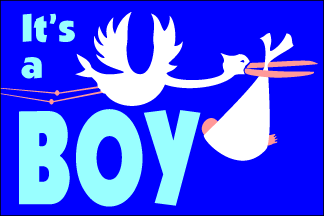 http://www.ederflagnews.com/images/Celebration%20and%20Specialty%20Flags/ItsaBoy.gif